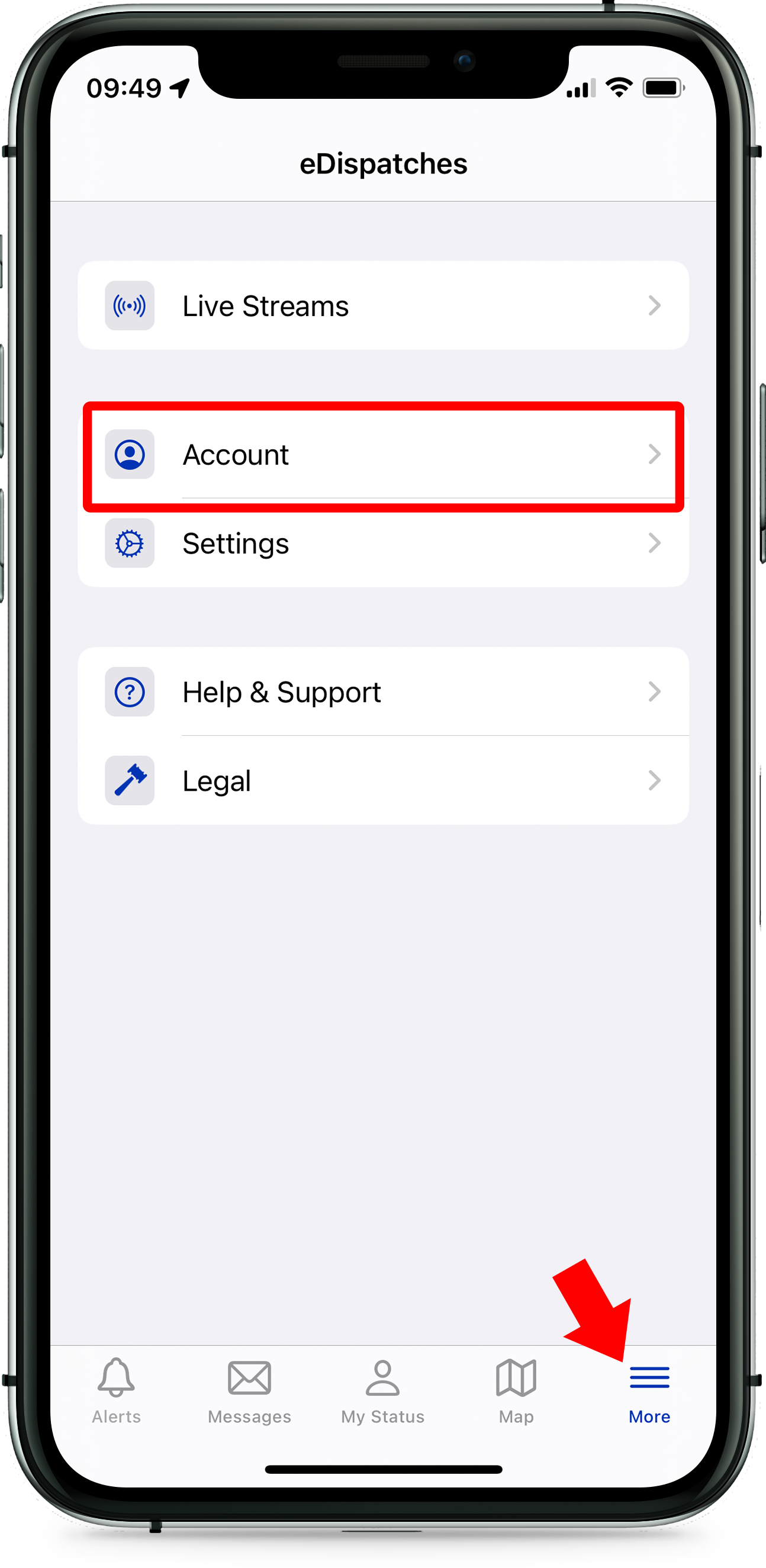 More Account (1).png