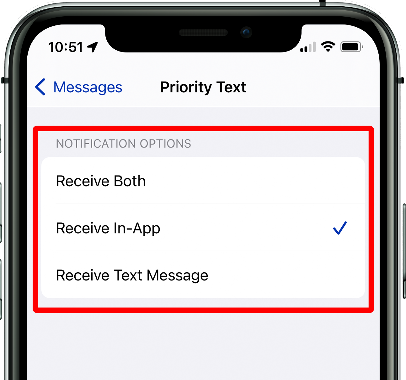 Priority Text Options.png